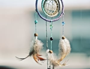 white and brown feathered dreamcatcher wall decor thumbnail