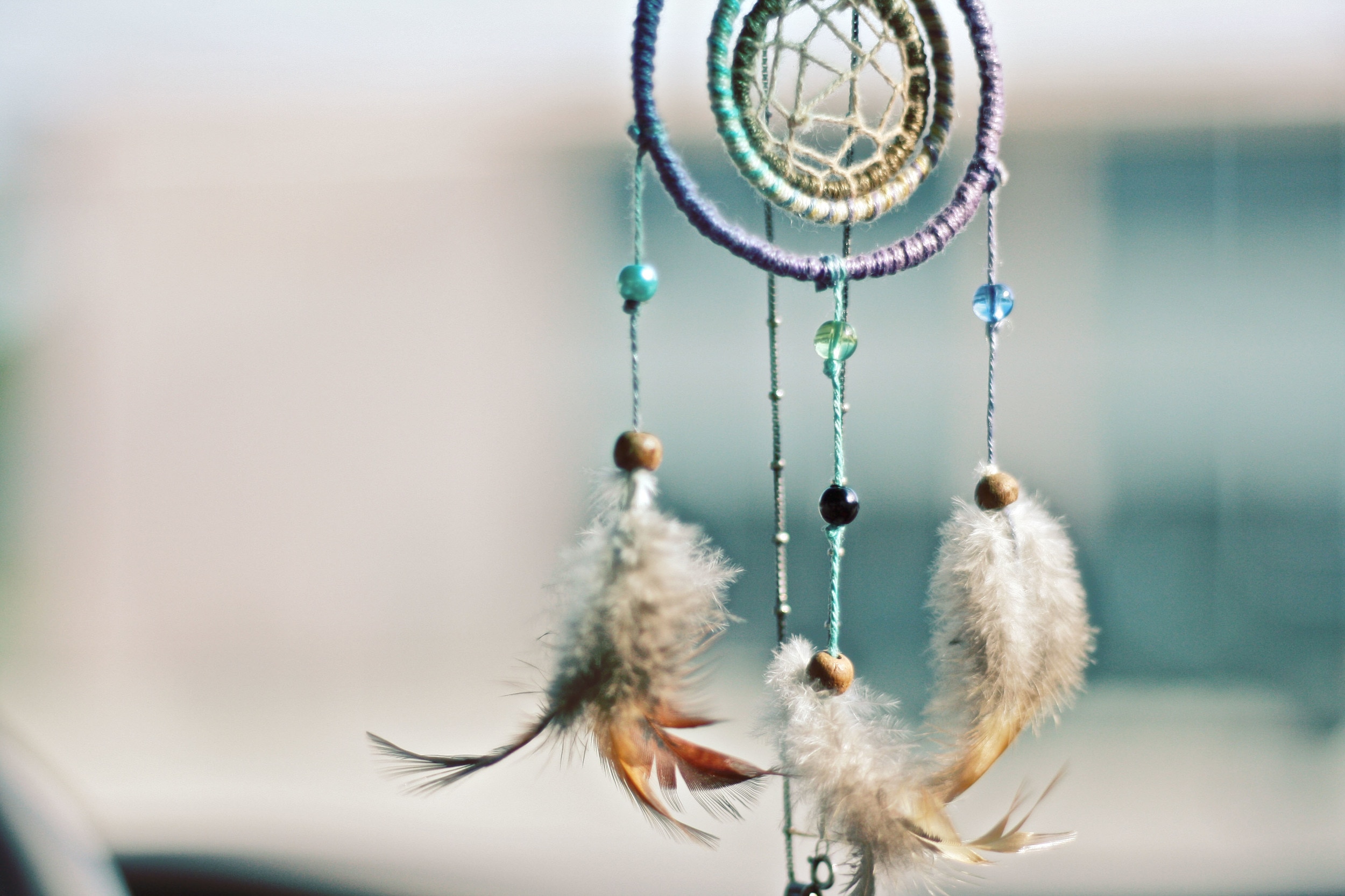 white and brown feathered dreamcatcher wall decor