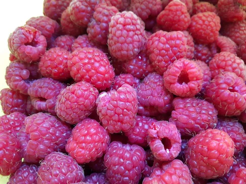 raspberry fruit preview