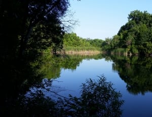 lake surrounded by green leaf trees thumbnail