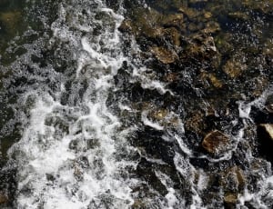 low angle photo of water current thumbnail