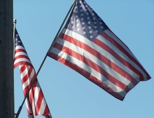 united states of america flag thumbnail