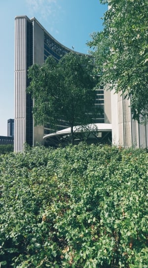green grass and green trees near white concrete building thumbnail