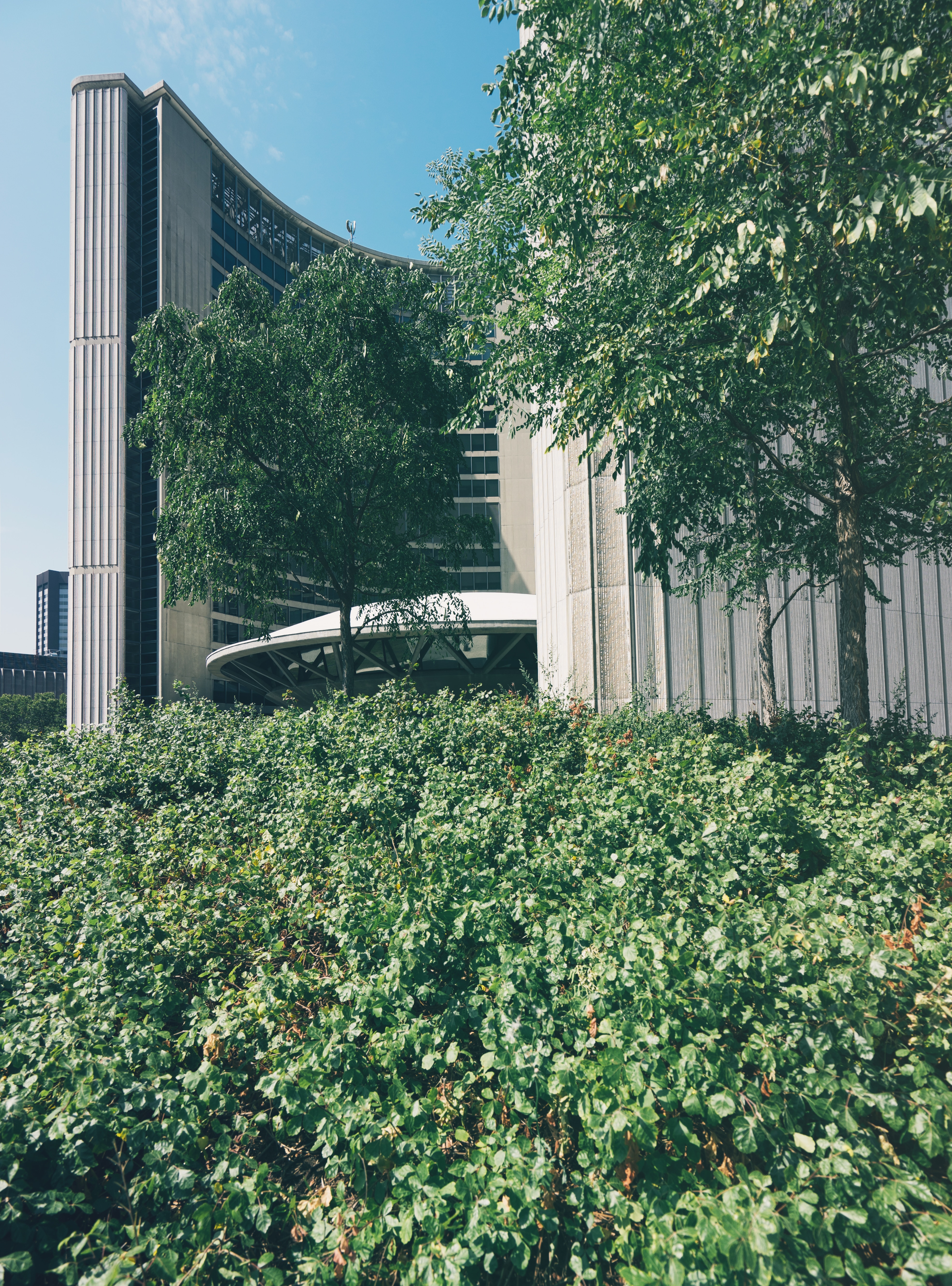 green grass and green trees near white concrete building