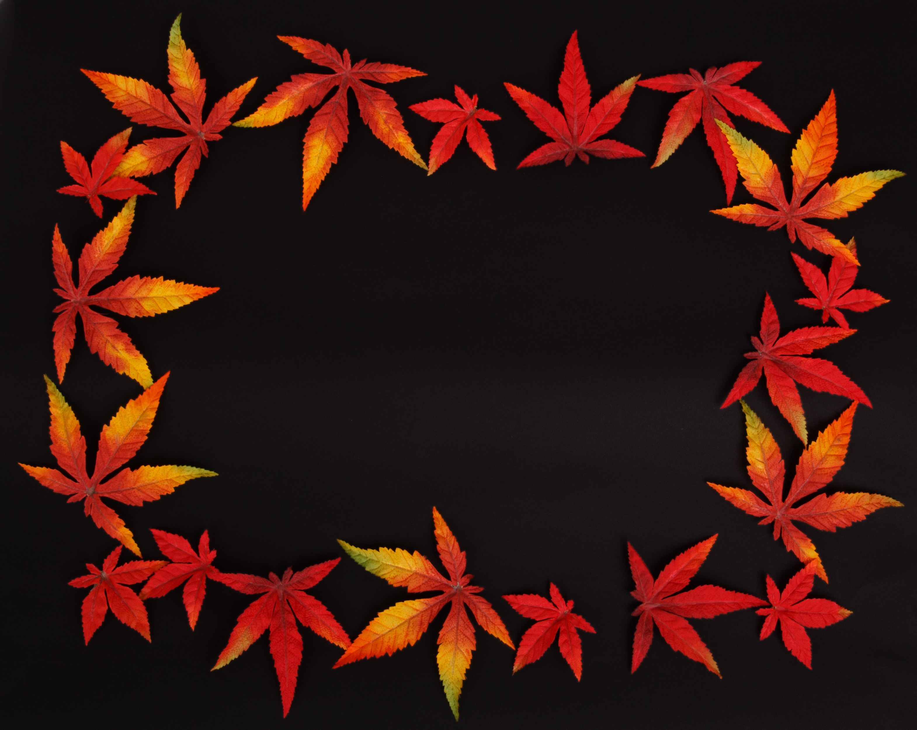 orange maple leaf frame art