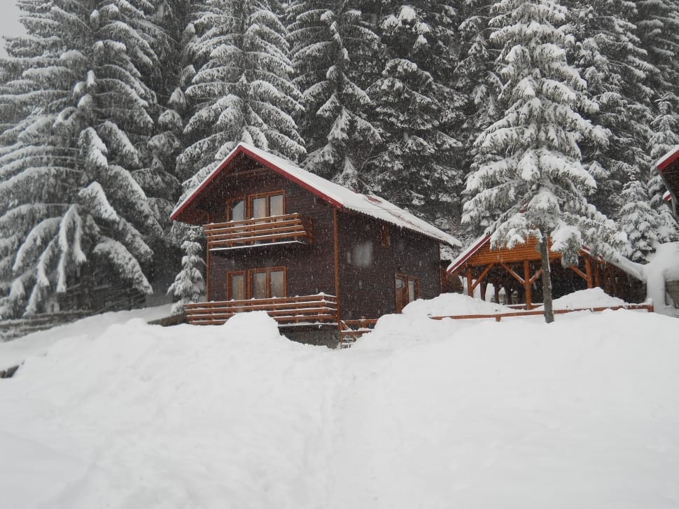 brown wooden snow forest cabin preview