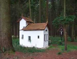 white and brown concrete house in forest thumbnail