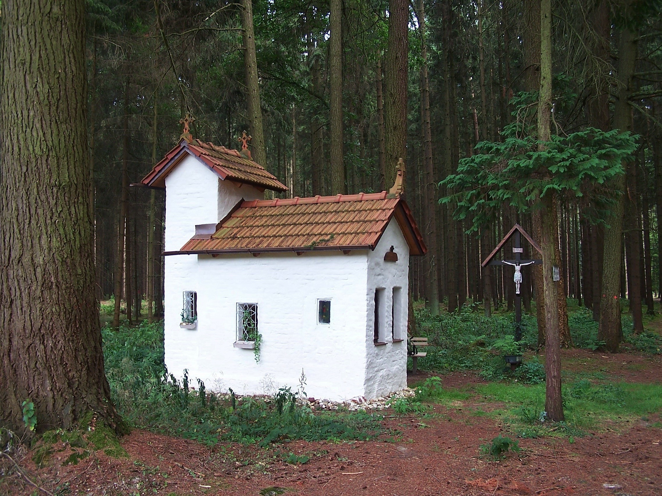 white and brown concrete house in forest