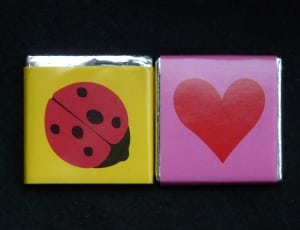 yellow pink and red ladybug and heart decor thumbnail
