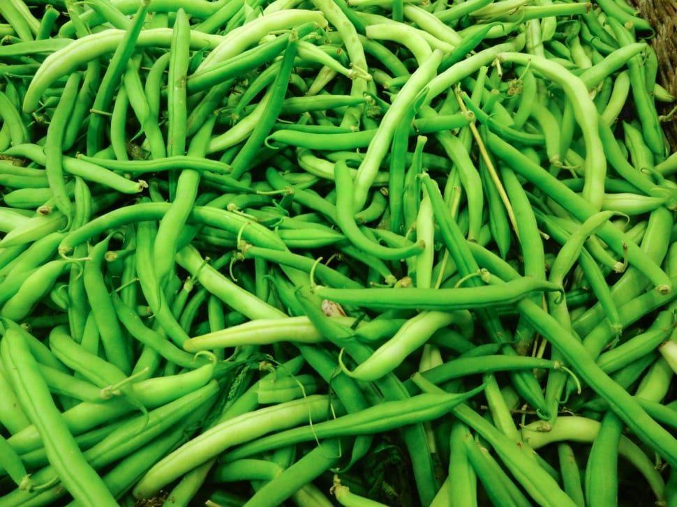 green beans preview