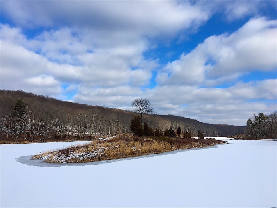 bare tree on ground surrounded by snow under blue cloudy sky during daytime preview