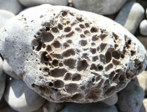 gray sea stone thumbnail