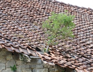 brown clay roofing thumbnail