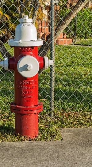 gray and red fire hydrant thumbnail