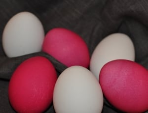 7 red and white raw eggs thumbnail