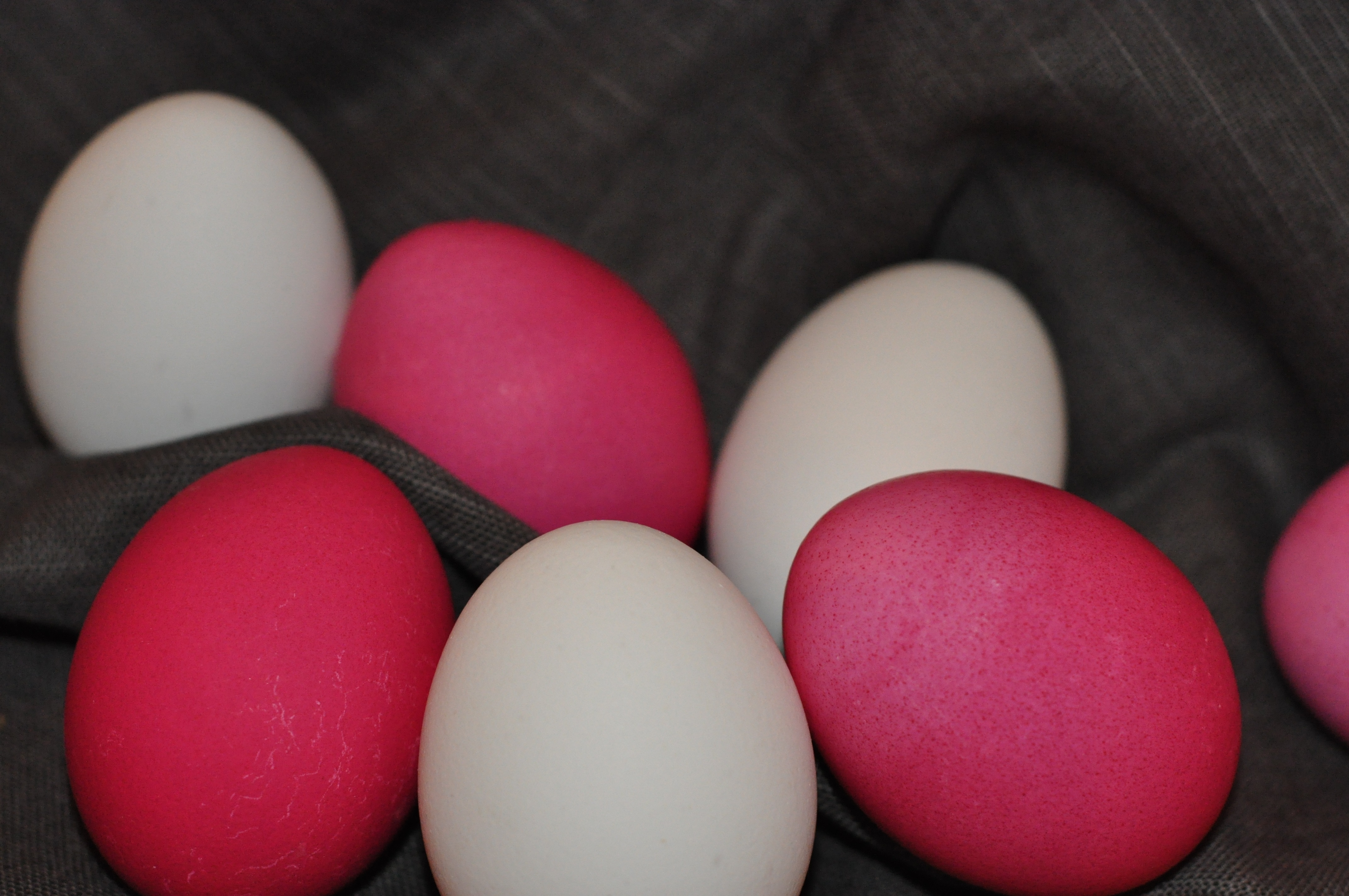 7 red and white raw eggs