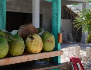coconut fruit thumbnail