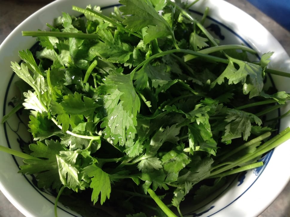 parsley leaves preview