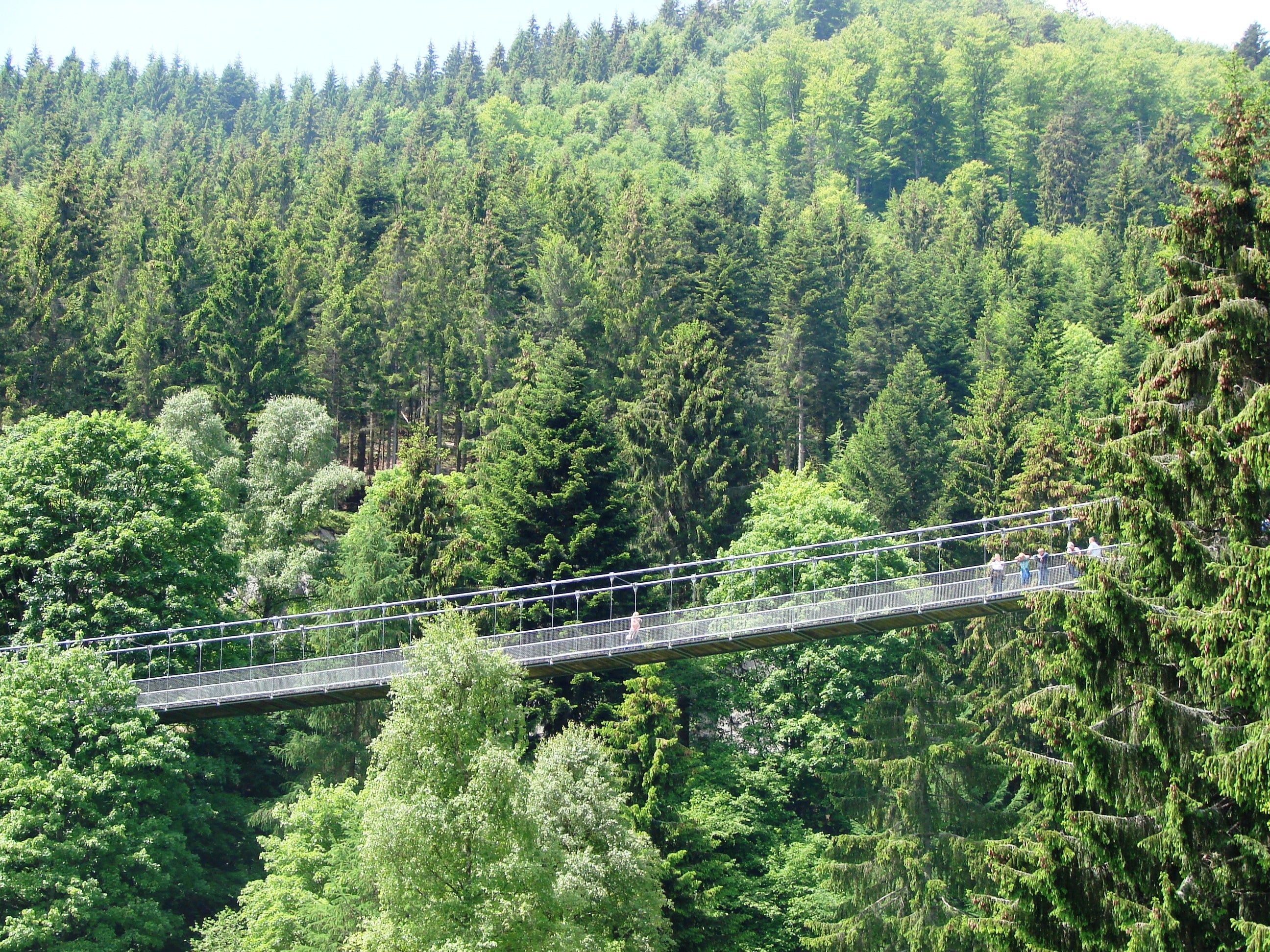 gray suspension bridge