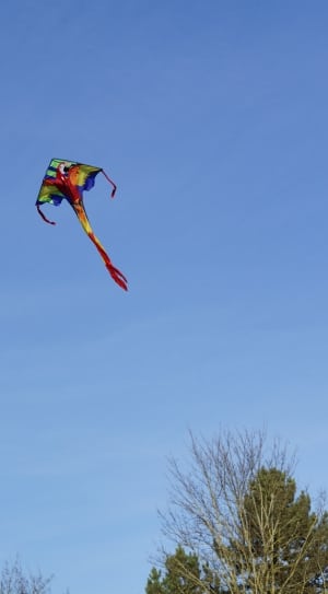 green, red, and blue kite thumbnail