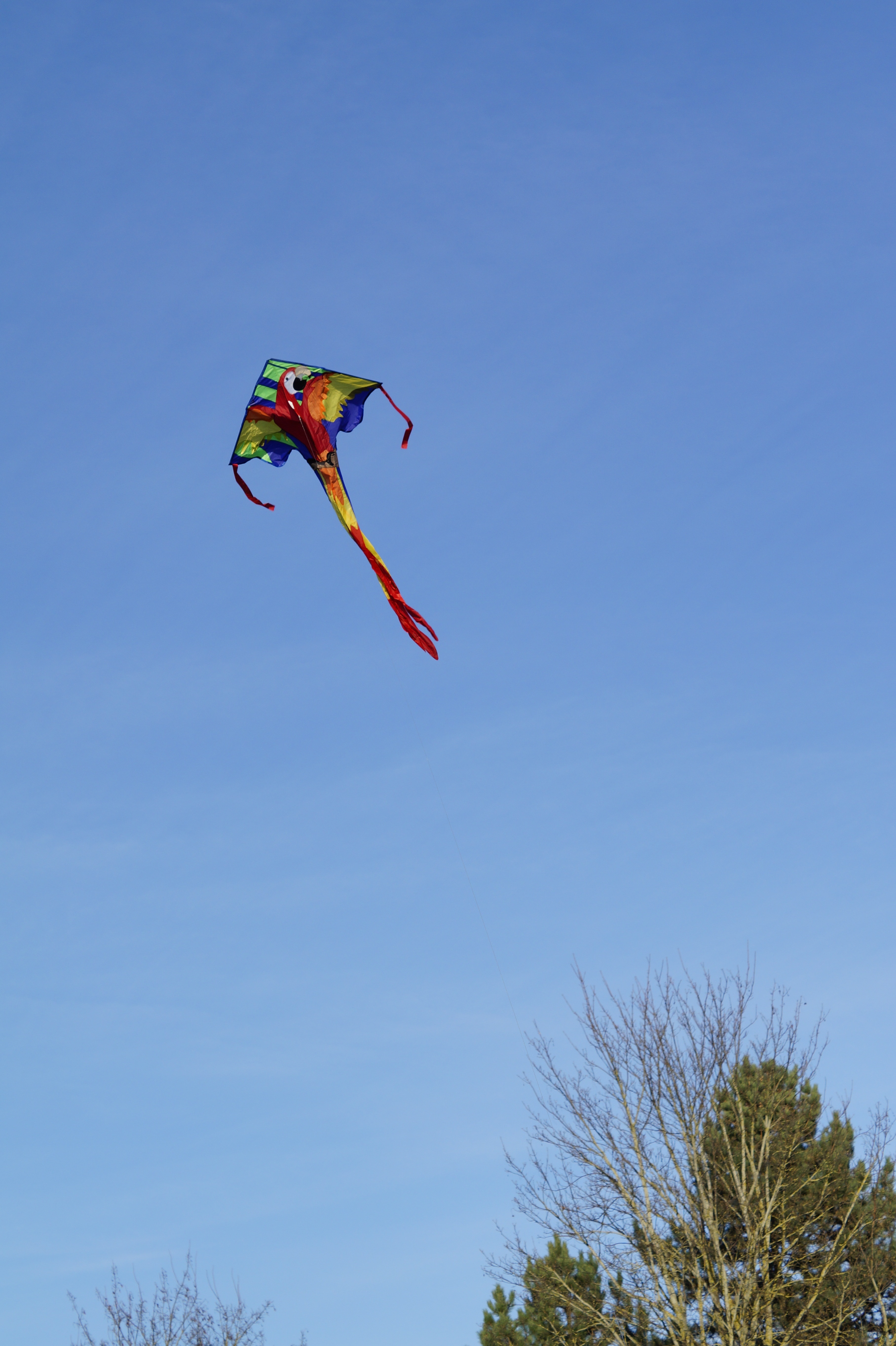 green, red, and blue kite