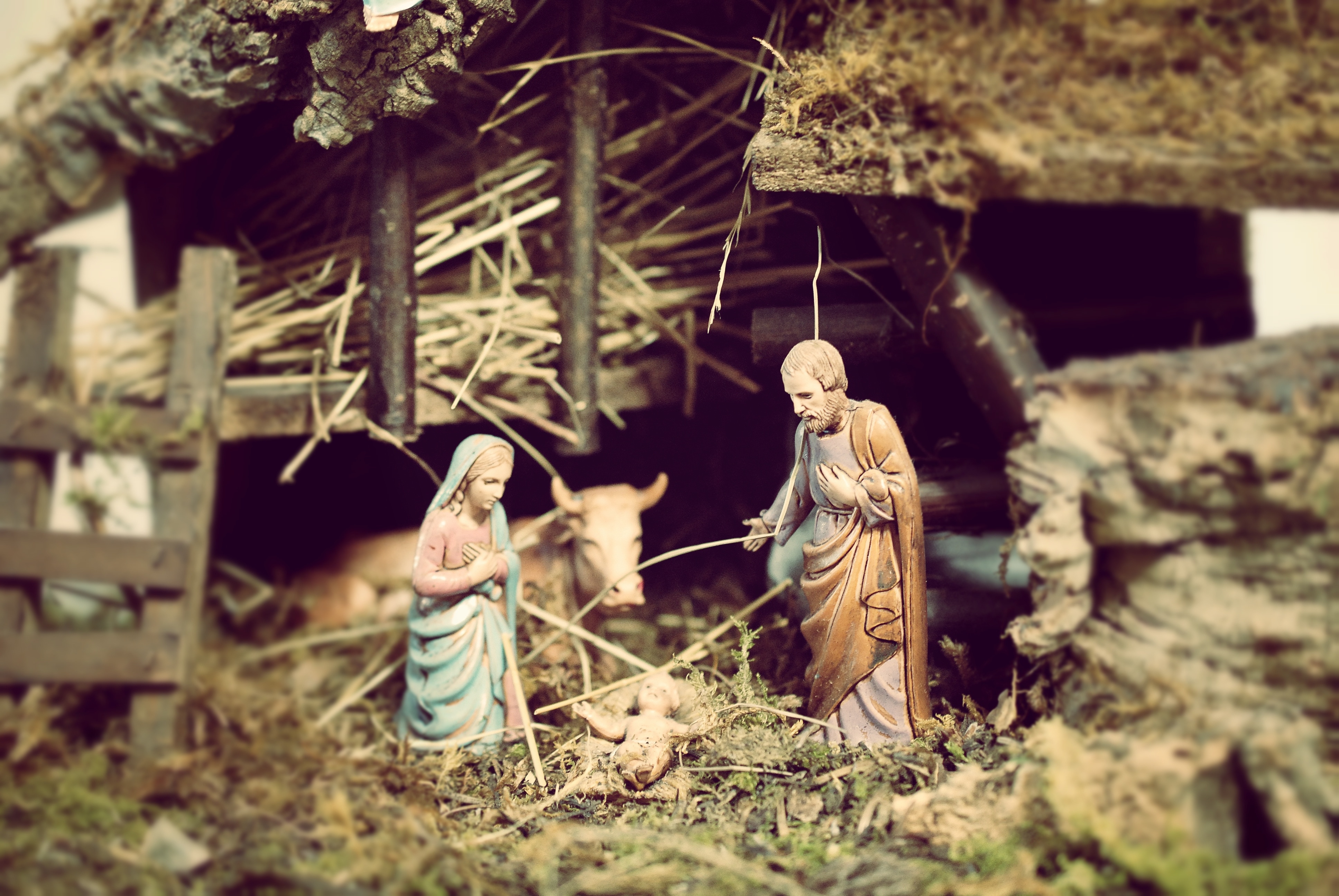 the nativity miniature