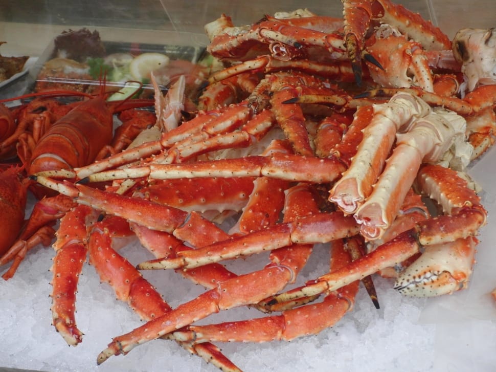 red spider crab preview