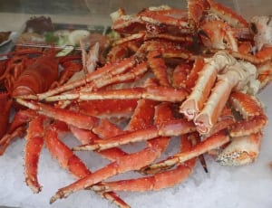 red spider crab thumbnail