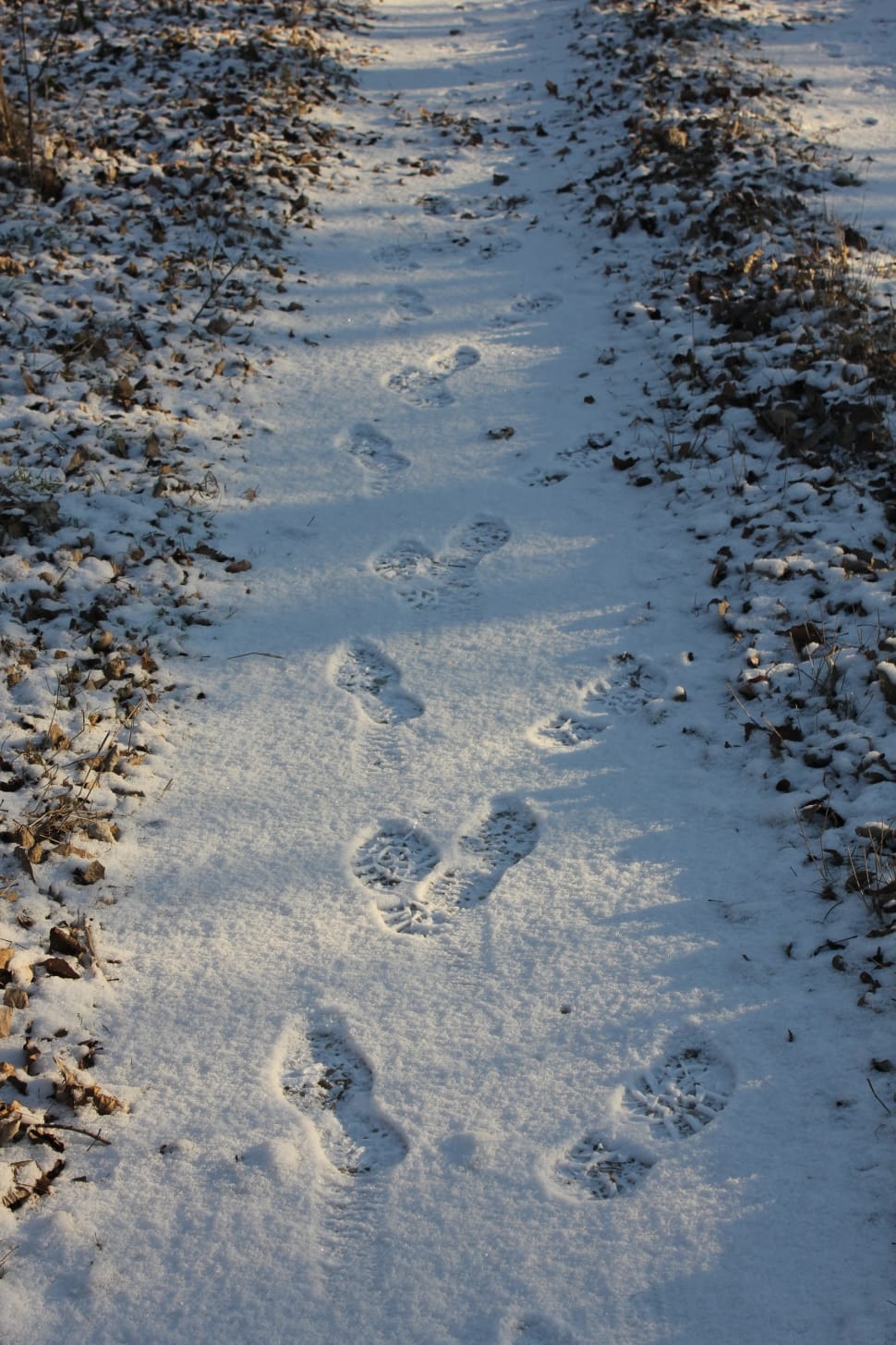 white snow trail with footprints preview