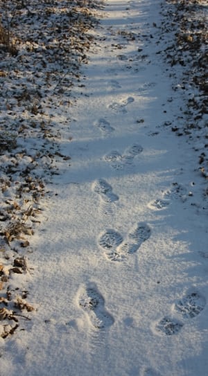 white snow trail with footprints thumbnail
