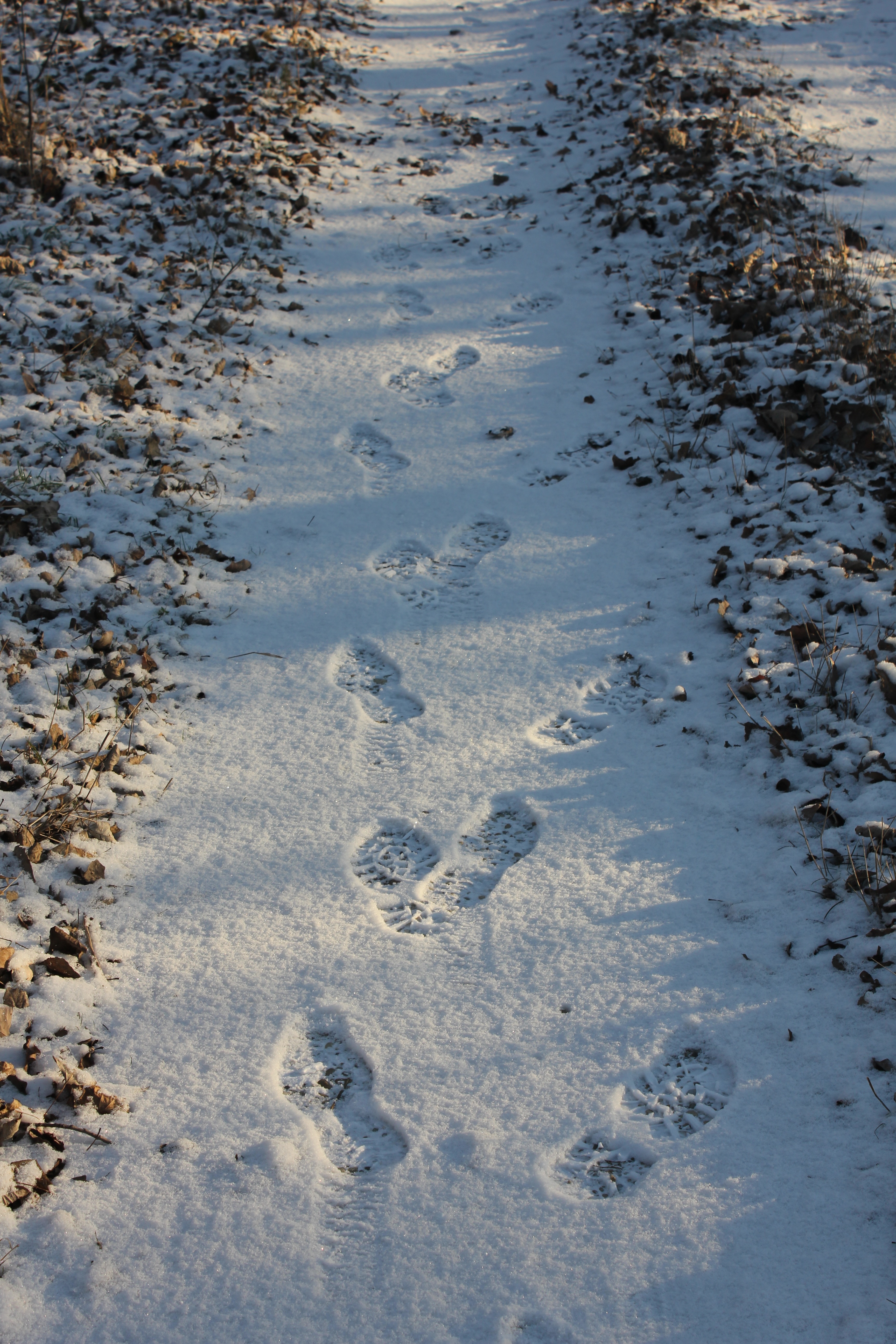white snow trail with footprints