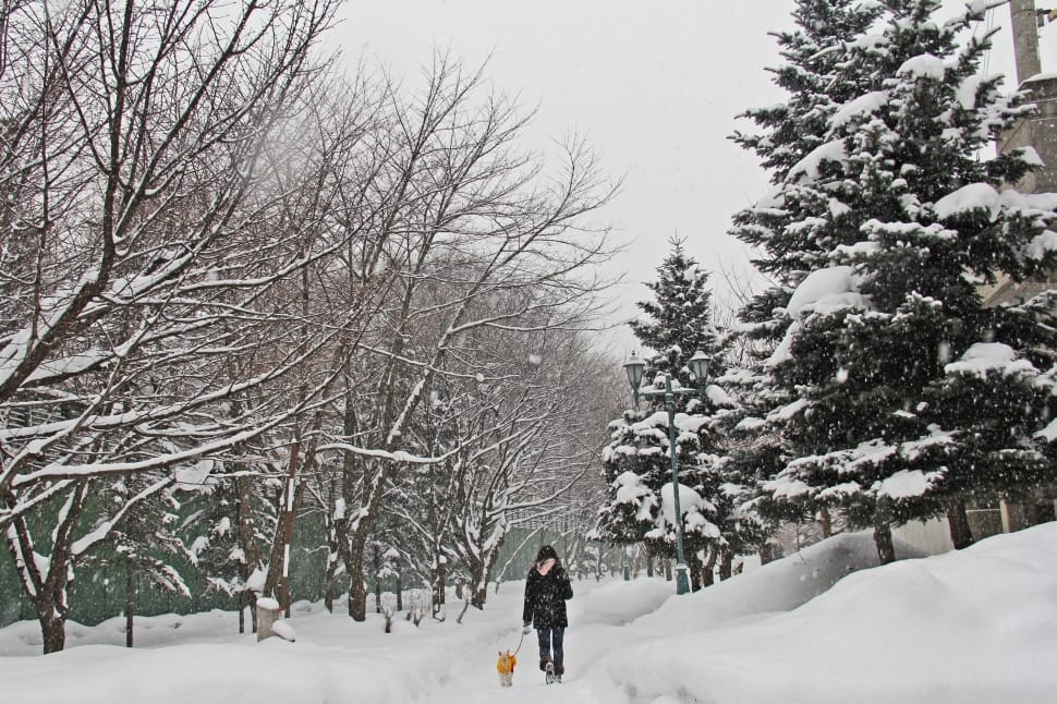 person on black jacket walking in the middle of snow pathway preview