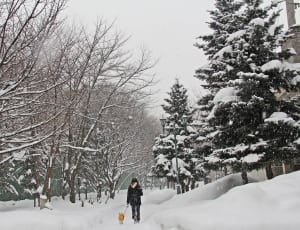 person on black jacket walking in the middle of snow pathway thumbnail