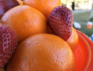 orange and strawberry fruit thumbnail
