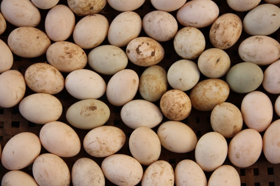 quail eggs preview
