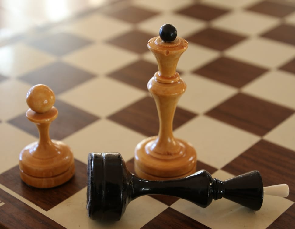 brown and black chess piece preview