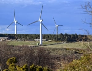 white wind turbines on green grassfield thumbnail