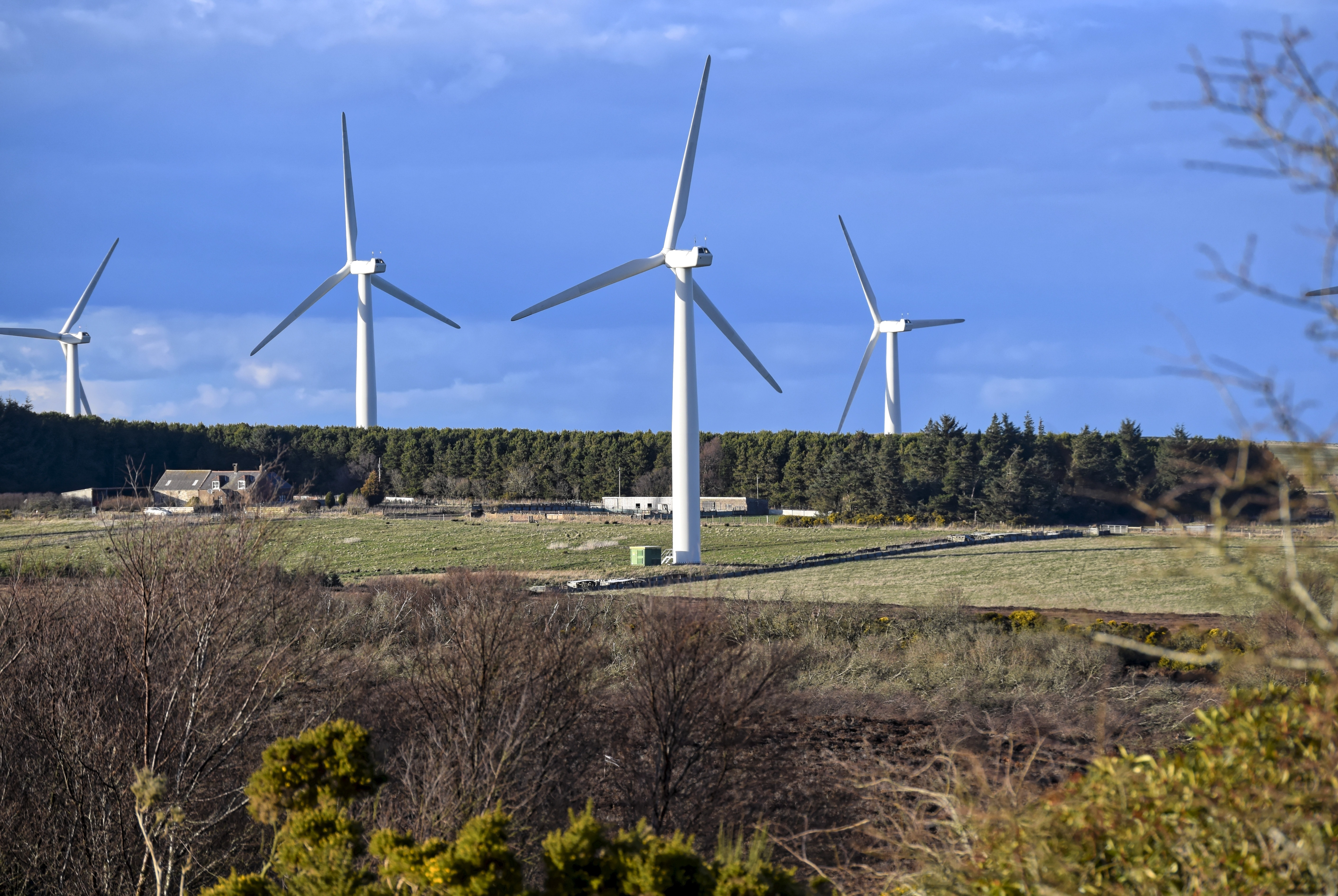 white wind turbines on green grassfield