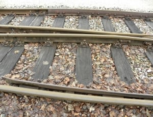 brown wooden train rail thumbnail