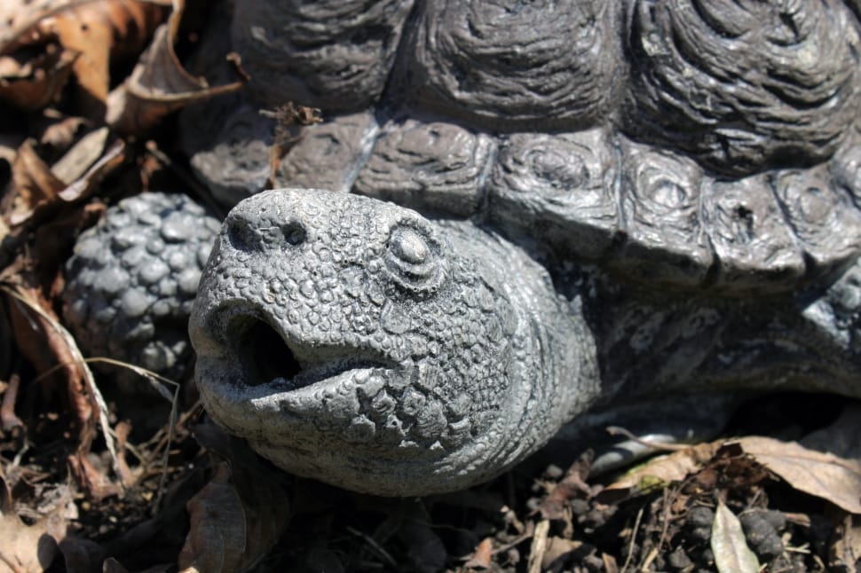 gray turtle statue preview