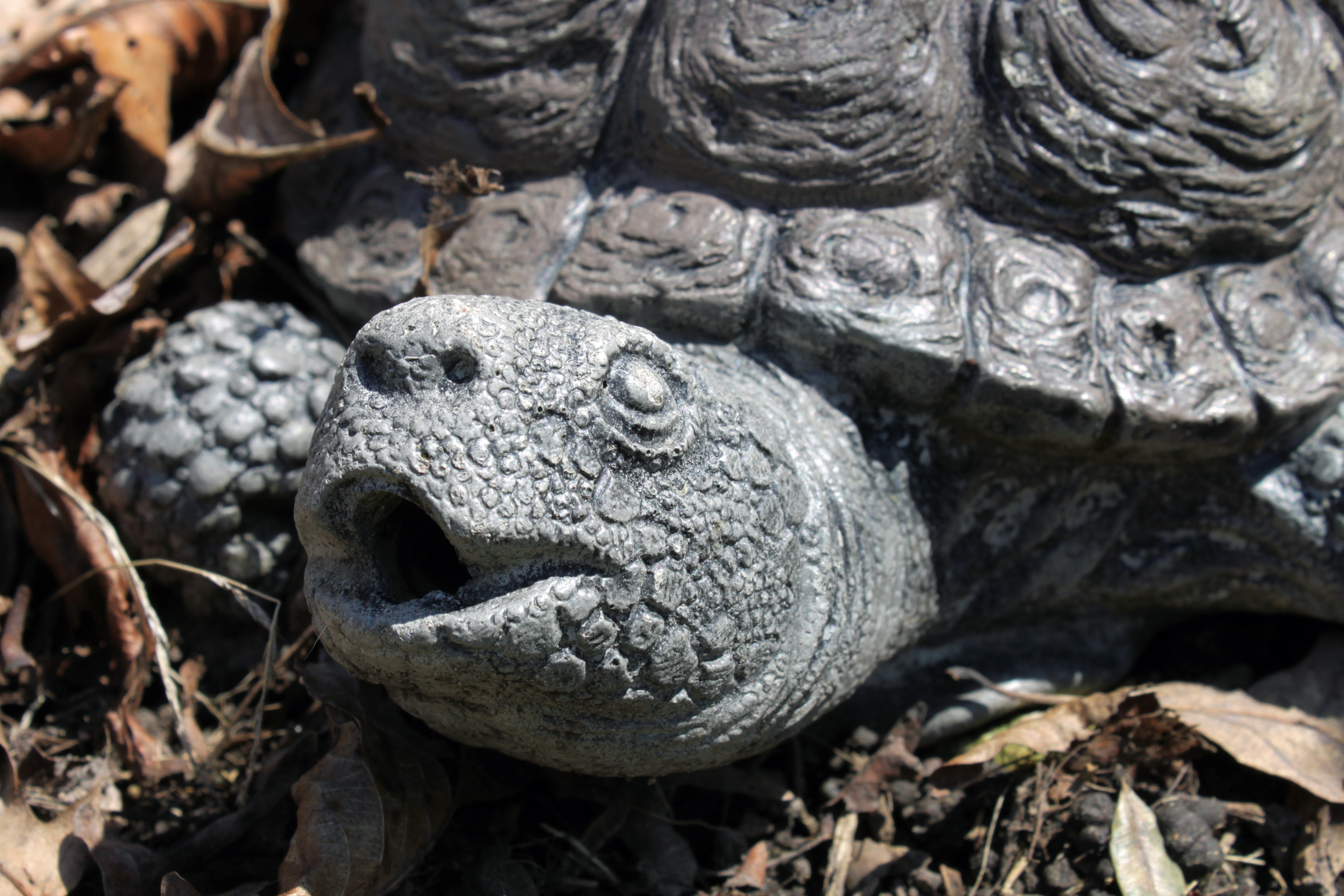 gray turtle statue