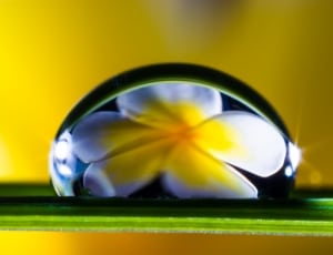 droplet of water thumbnail
