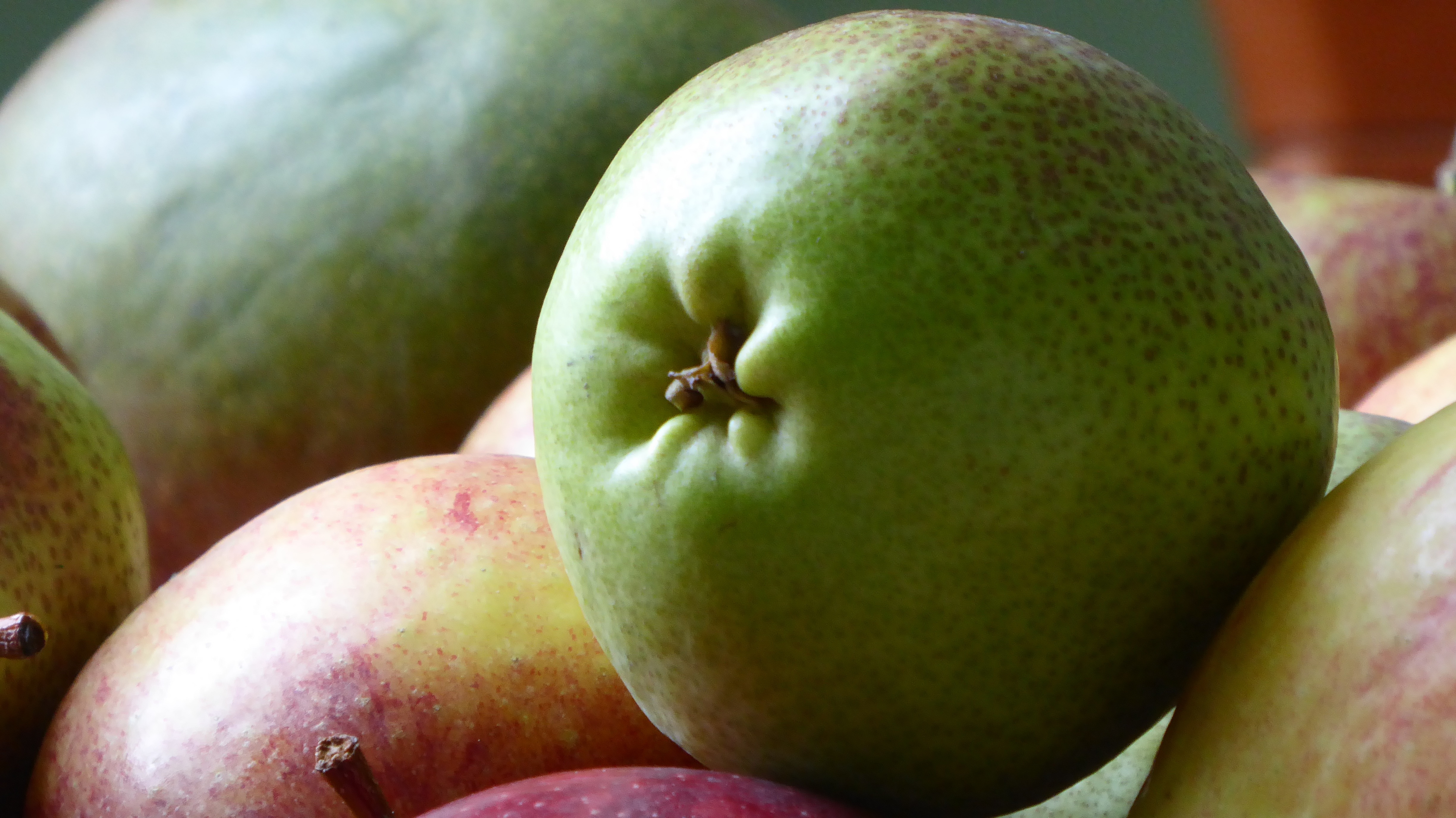 Round fruit. Плод яблоко у груши. Смесь яблока и груши. Смесь яблока и груши фрукт. Плод похожий на яблоко.