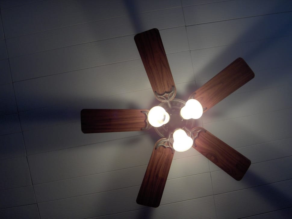 brown ceiling fan and elite preview