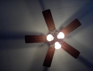 brown ceiling fan and elite thumbnail
