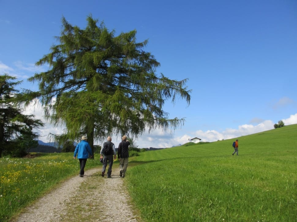 men walking on dirt road between green grass field during daytime preview