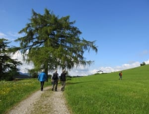 men walking on dirt road between green grass field during daytime thumbnail