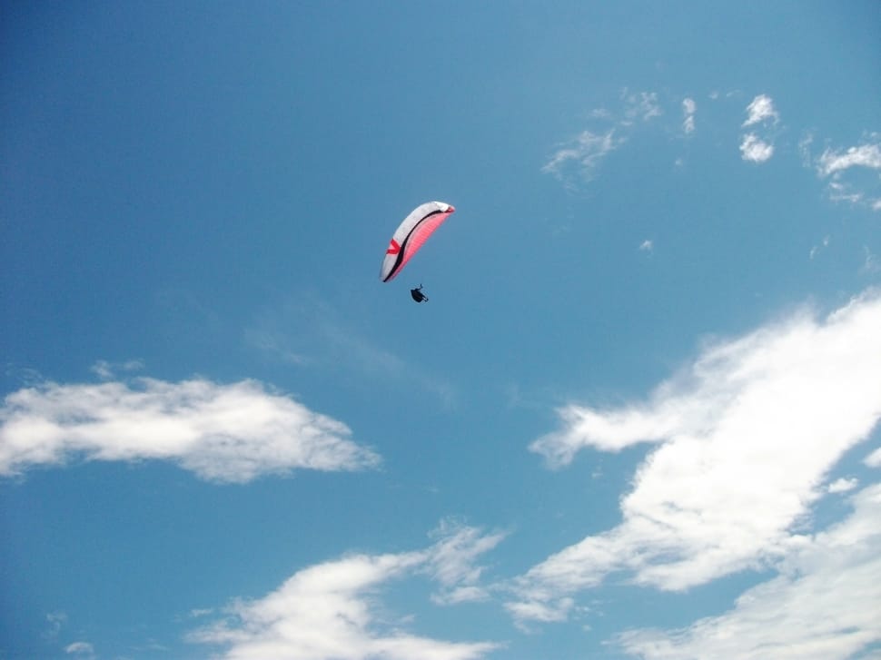 pink and blue paragliding preview