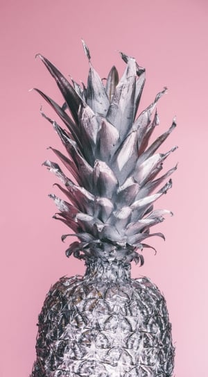 stainless steel pineapple decorative thumbnail