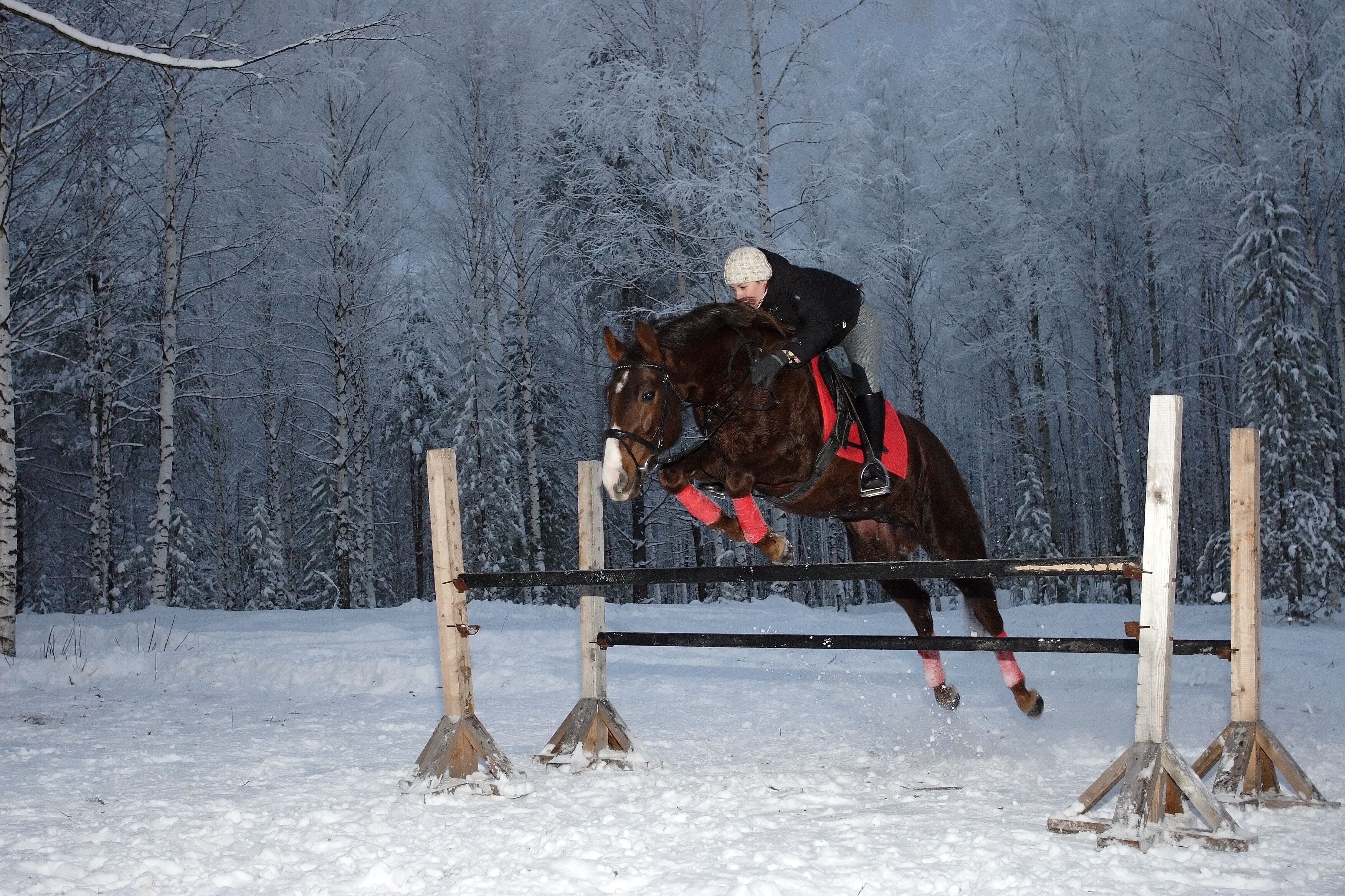 person riding horse on snow